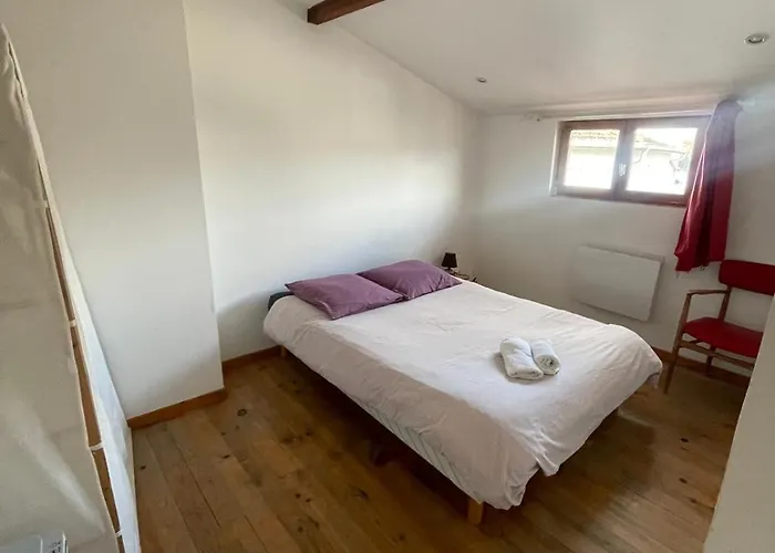 Joli T3 Au Coeur De Lourdes